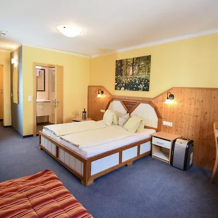 Erlys Cityhotel Guest house Schladming