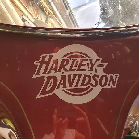 Guest house Erlys Cityhotel 3*