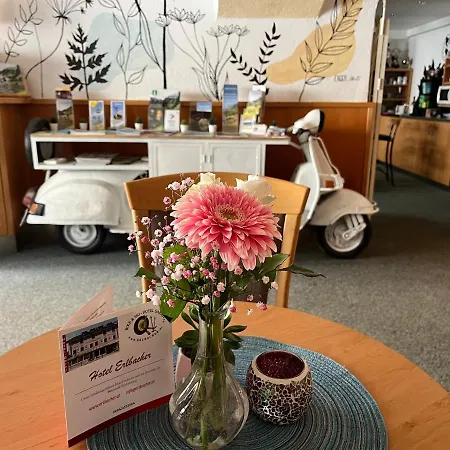 Erlys Cityhotel Pensión