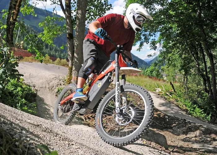 Erlys Cityhotel Πανσιόν Schladming